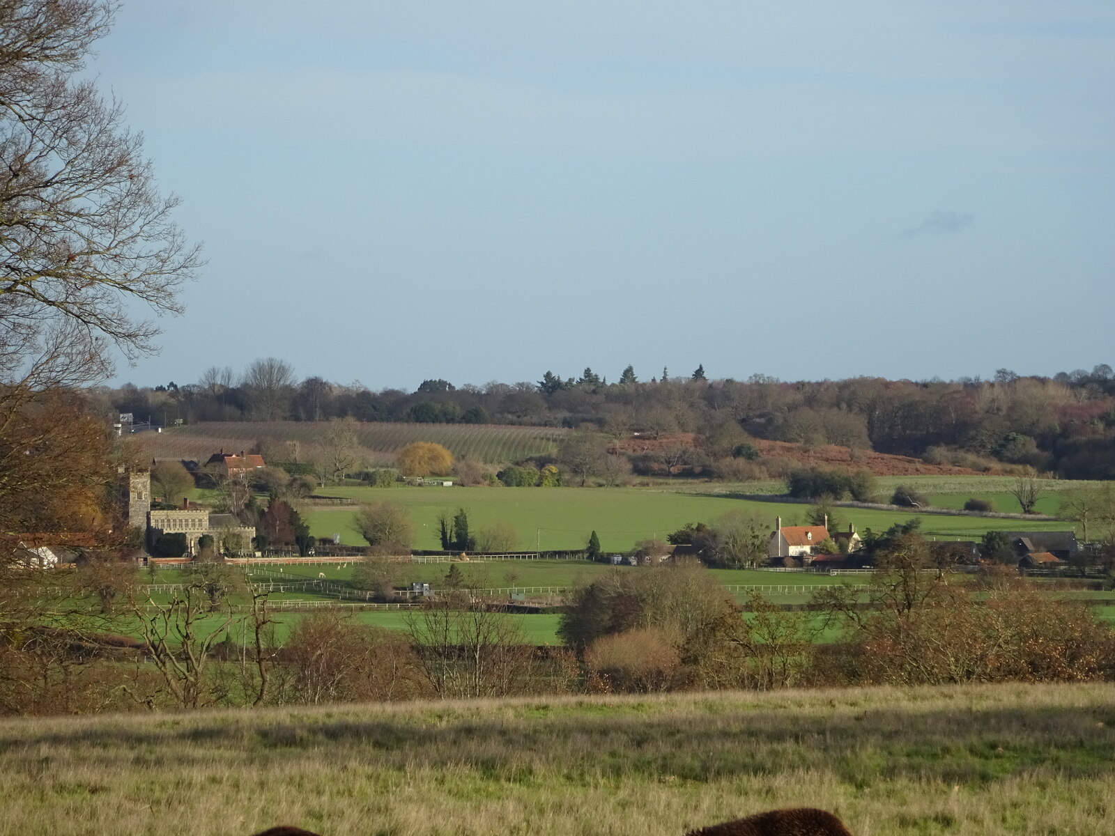 Dedham Vale landscape near Colchester