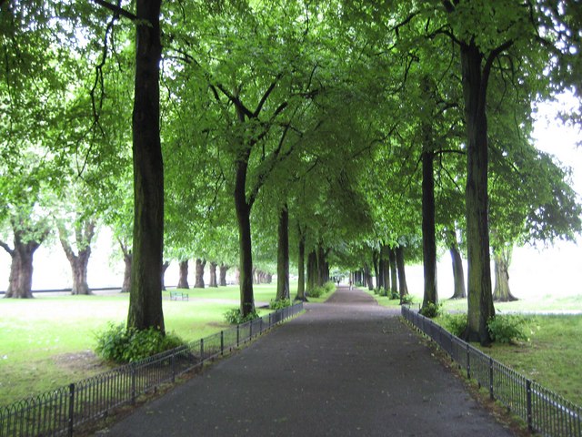 Wandsworth Park with open grass and riverside trees